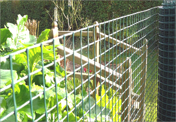 Buy Plastic Mesh Fencing, 1m x 10m, 5mm Hole, Green